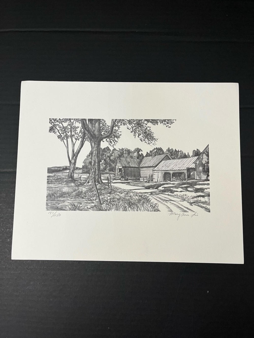 Rural America Untitled Signed Lithograph Mary Ann Lis - Limited Edition 187/250
